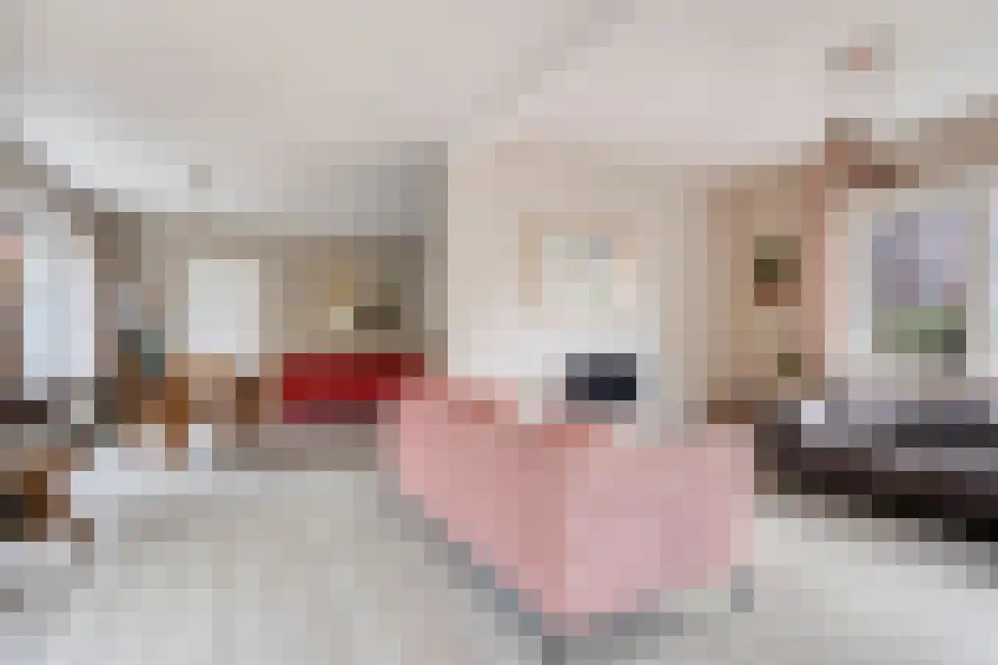 Rembrandtstraat 8 Zutphen thumbnail 8