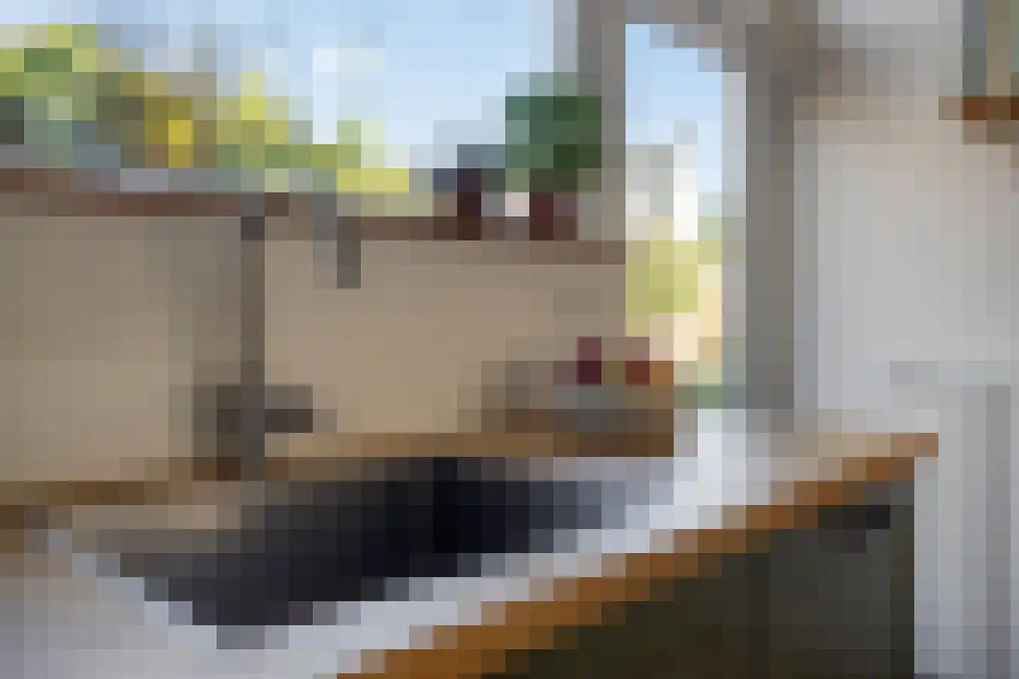 Rembrandtstraat 83 Bergen op Zoom thumbnail 10