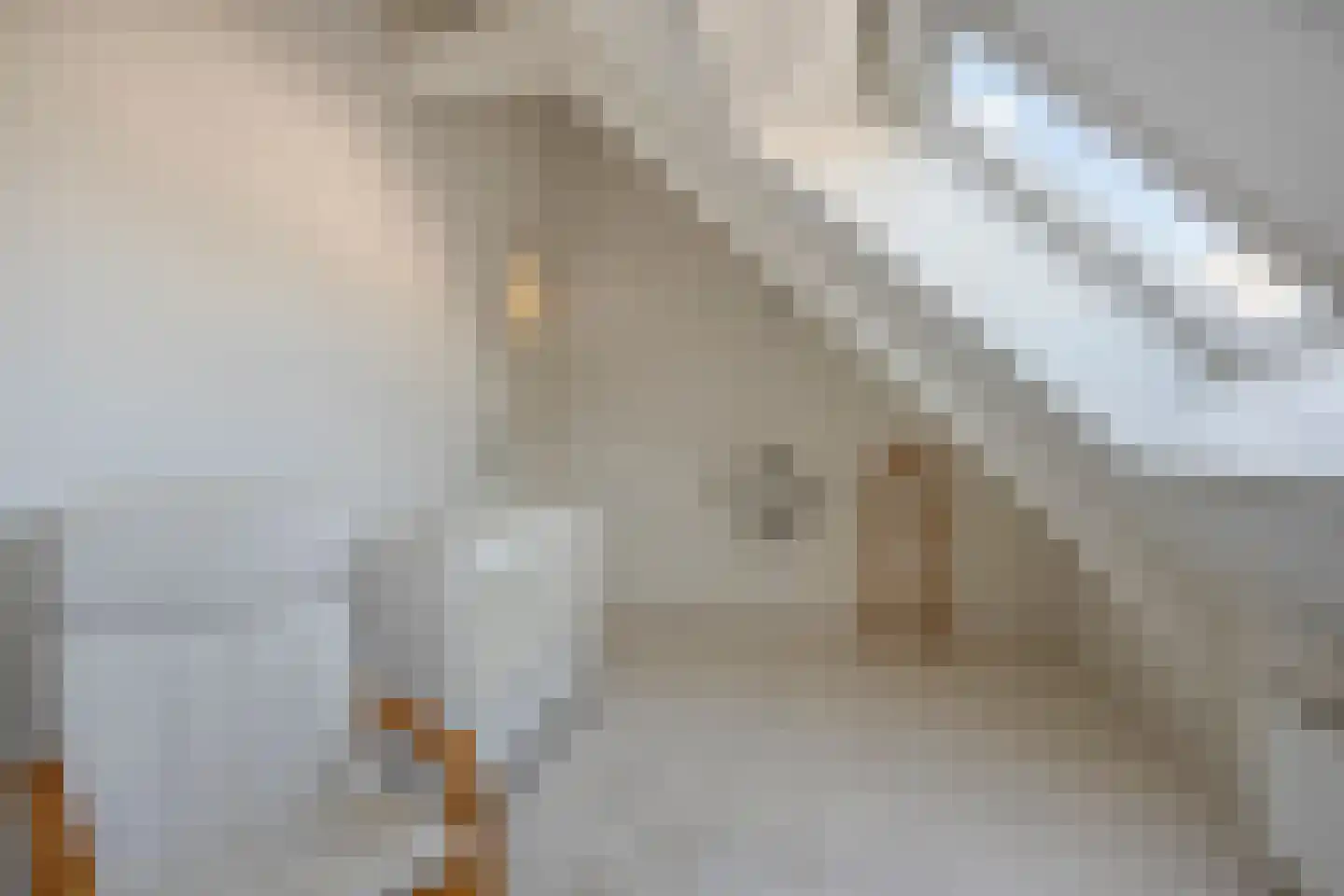 Rembrandtstraat 83 Bergen op Zoom thumbnail 30