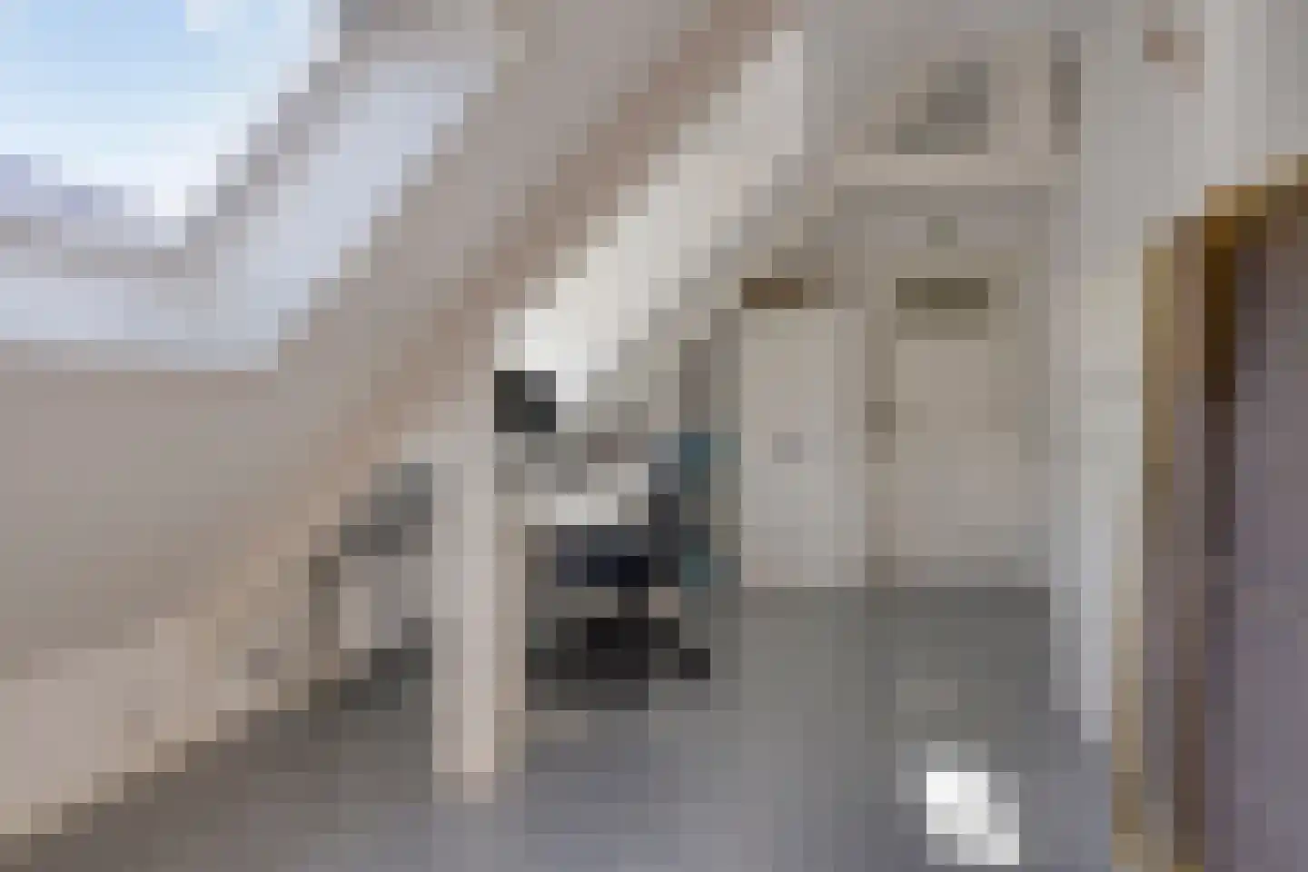 Rembrandtstraat 83 Bergen op Zoom thumbnail 37