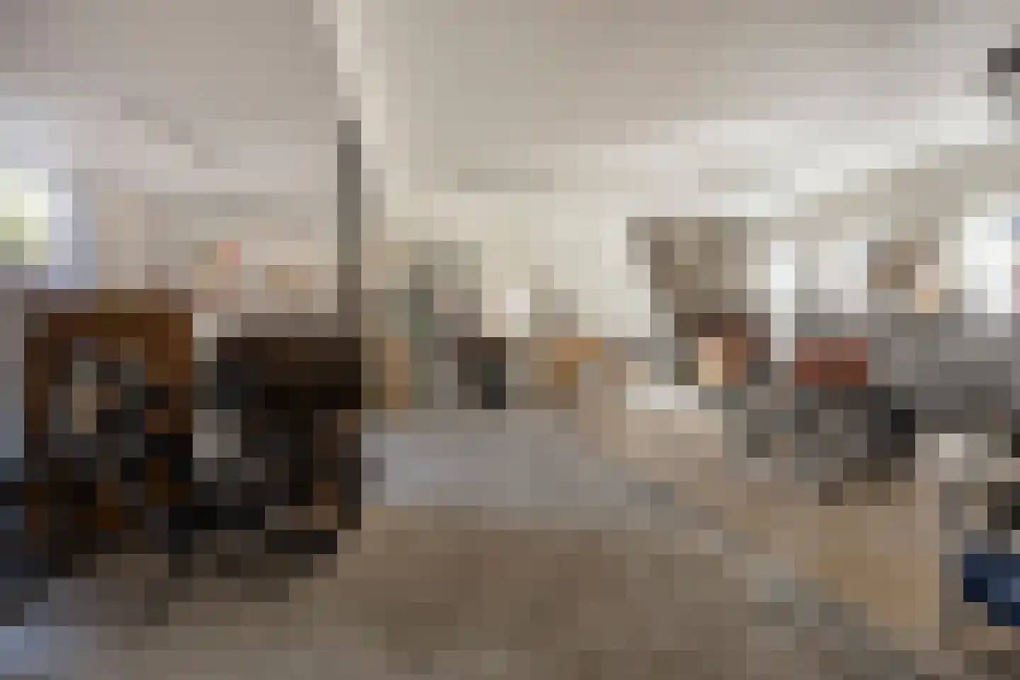 Rembrandtstraat 83 Bergen op Zoom thumbnail 42