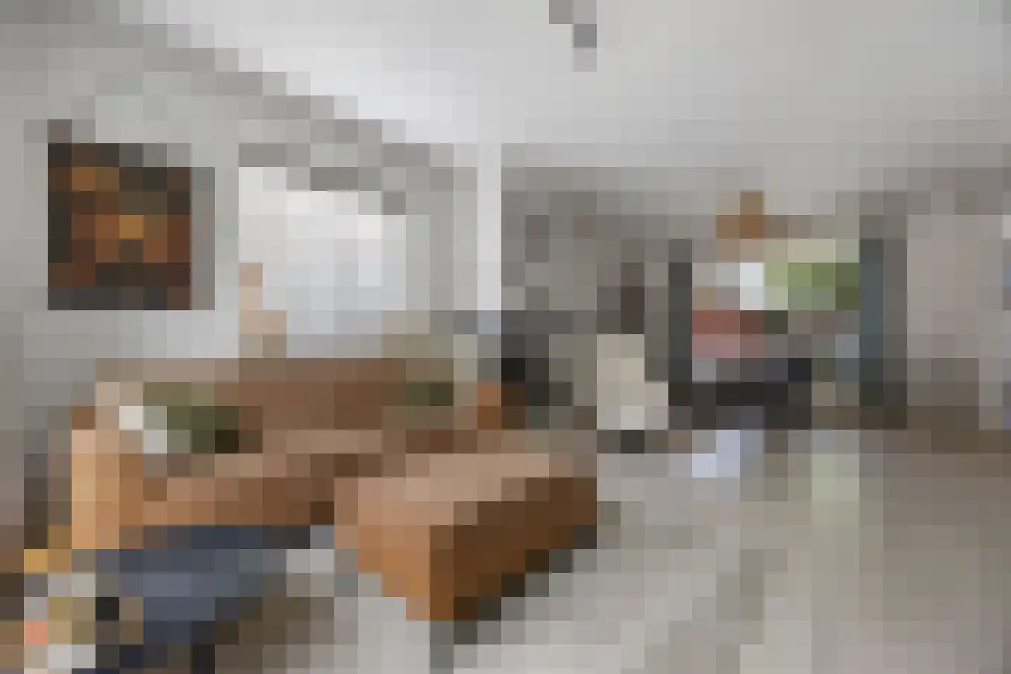 Rembrandtstraat 88 Voorthuizen thumbnail 10
