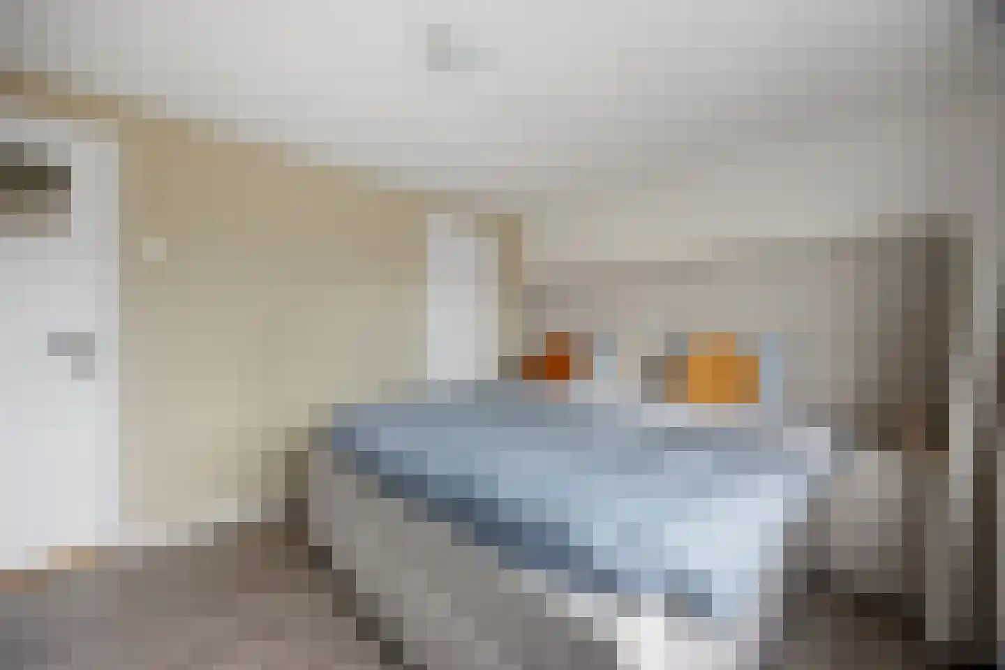 Rembrandtstraat 88 Voorthuizen thumbnail 22