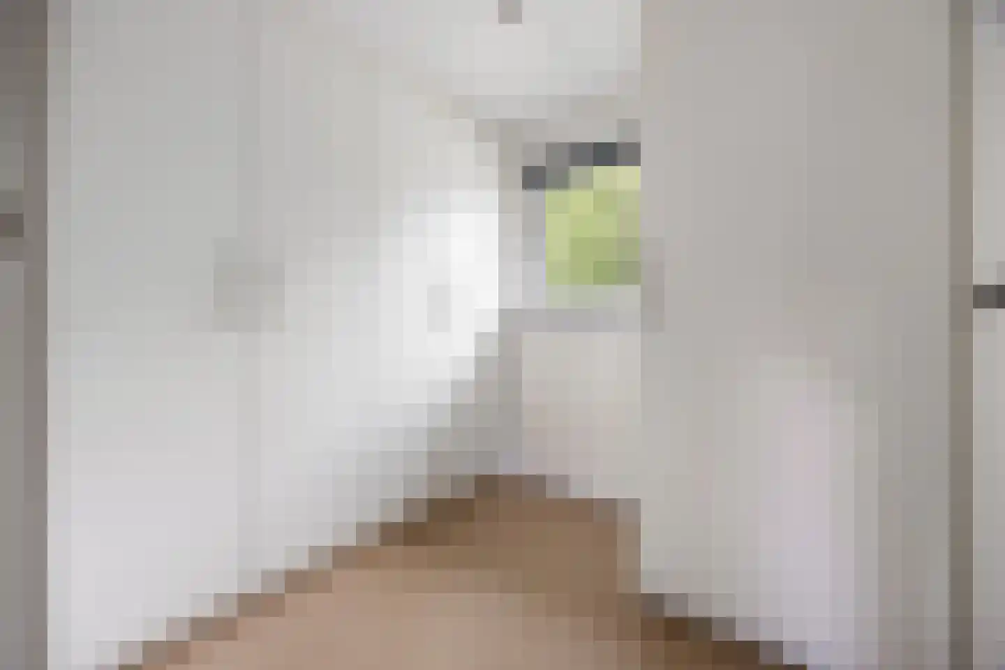 Rembrandtstraat 88 Voorthuizen thumbnail 25