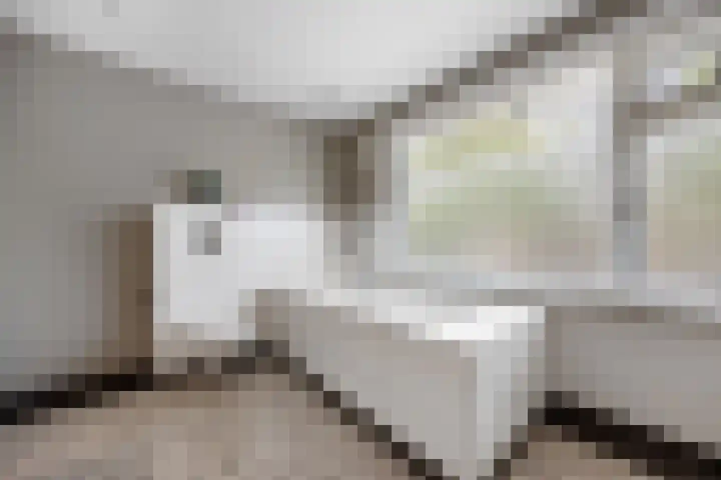 Rembrandtstraat 88 Voorthuizen thumbnail 29