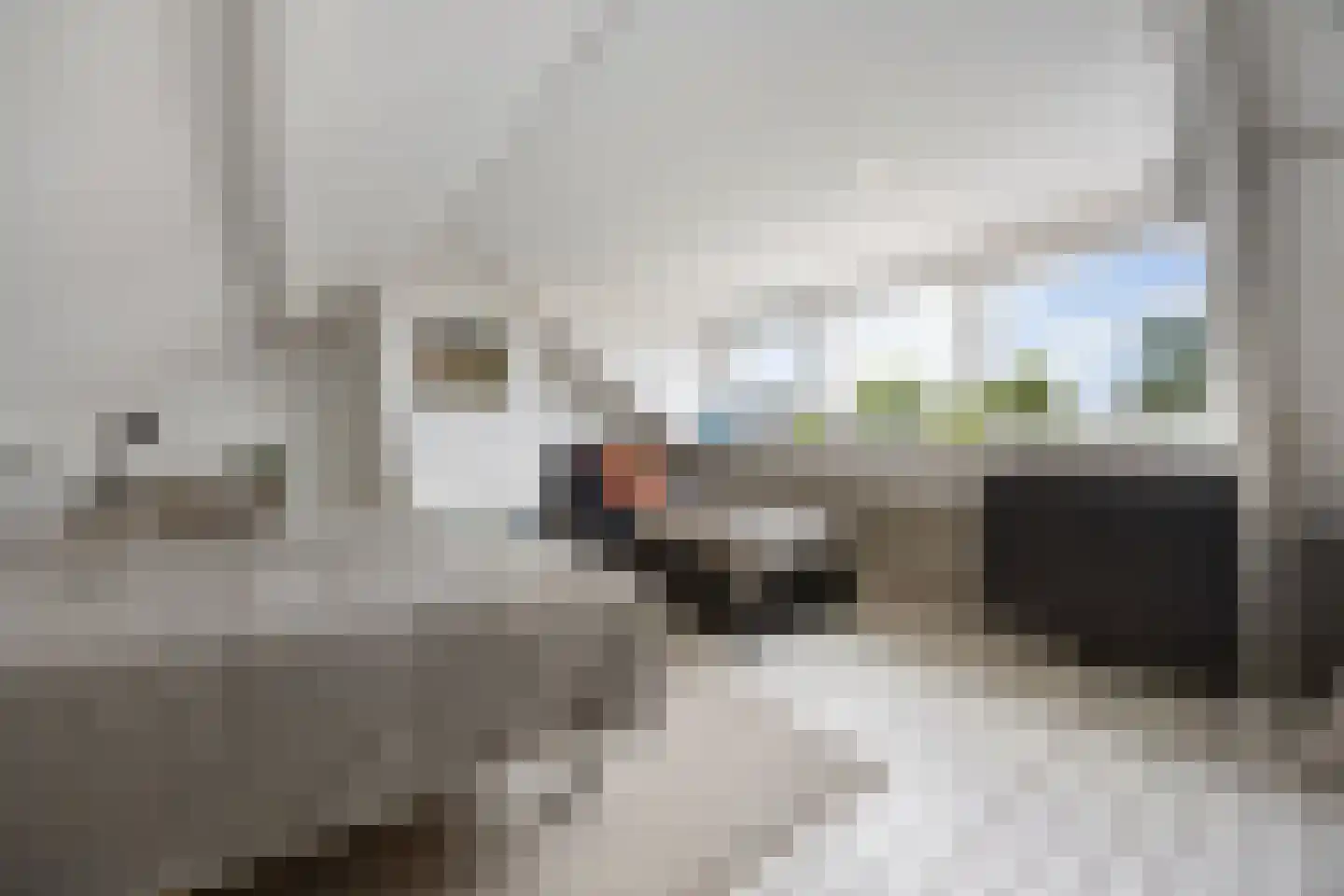 Rembrandtstraat 88 Voorthuizen thumbnail 31