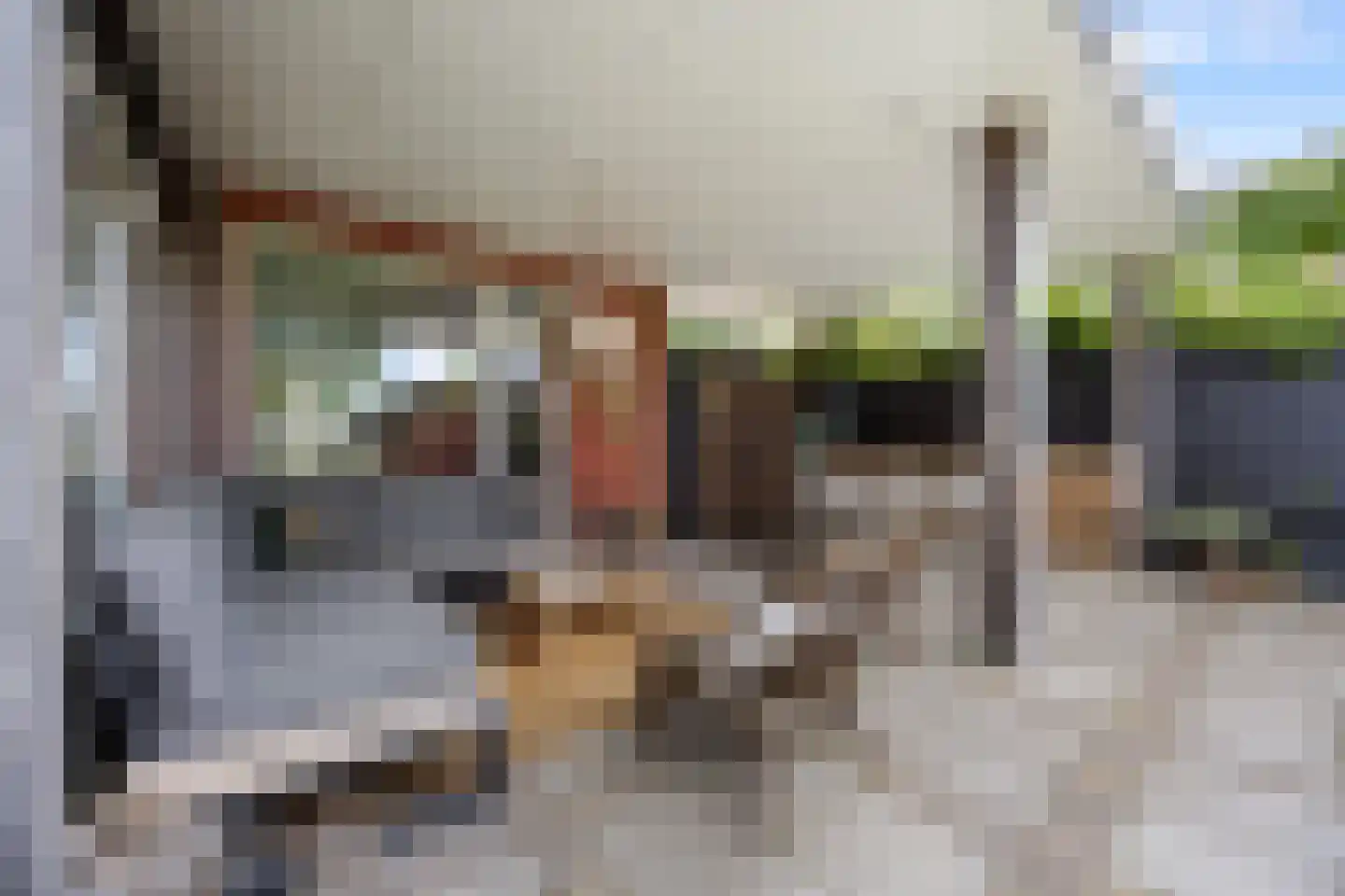 Rembrandtstraat 88 Voorthuizen thumbnail 35