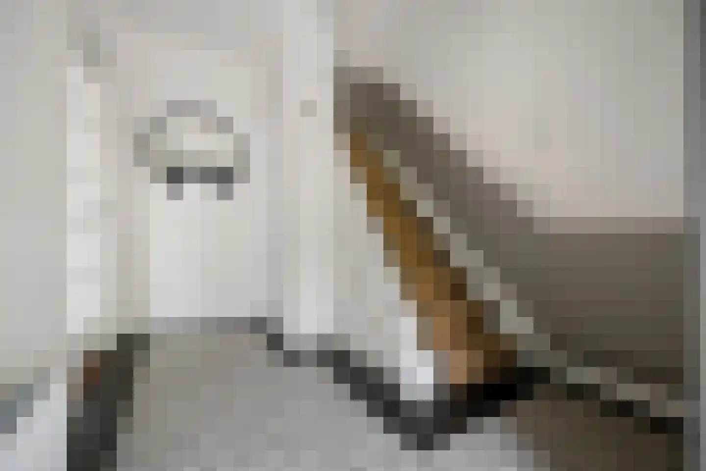 Rembrandtstraat 88 Voorthuizen thumbnail 7