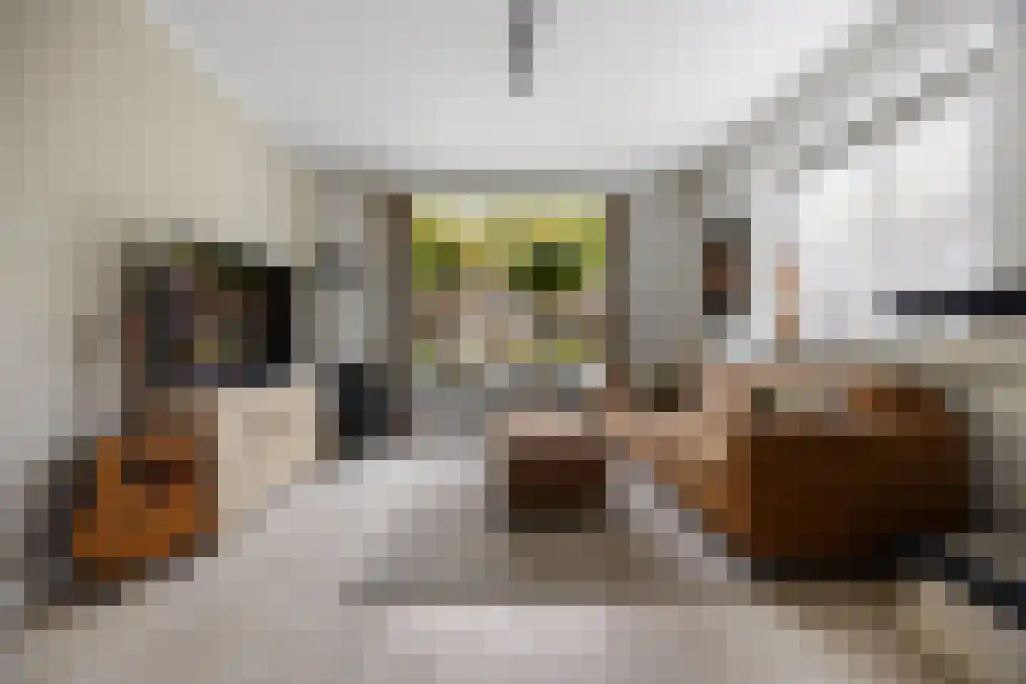 Rembrandtstraat 88 Voorthuizen thumbnail 9