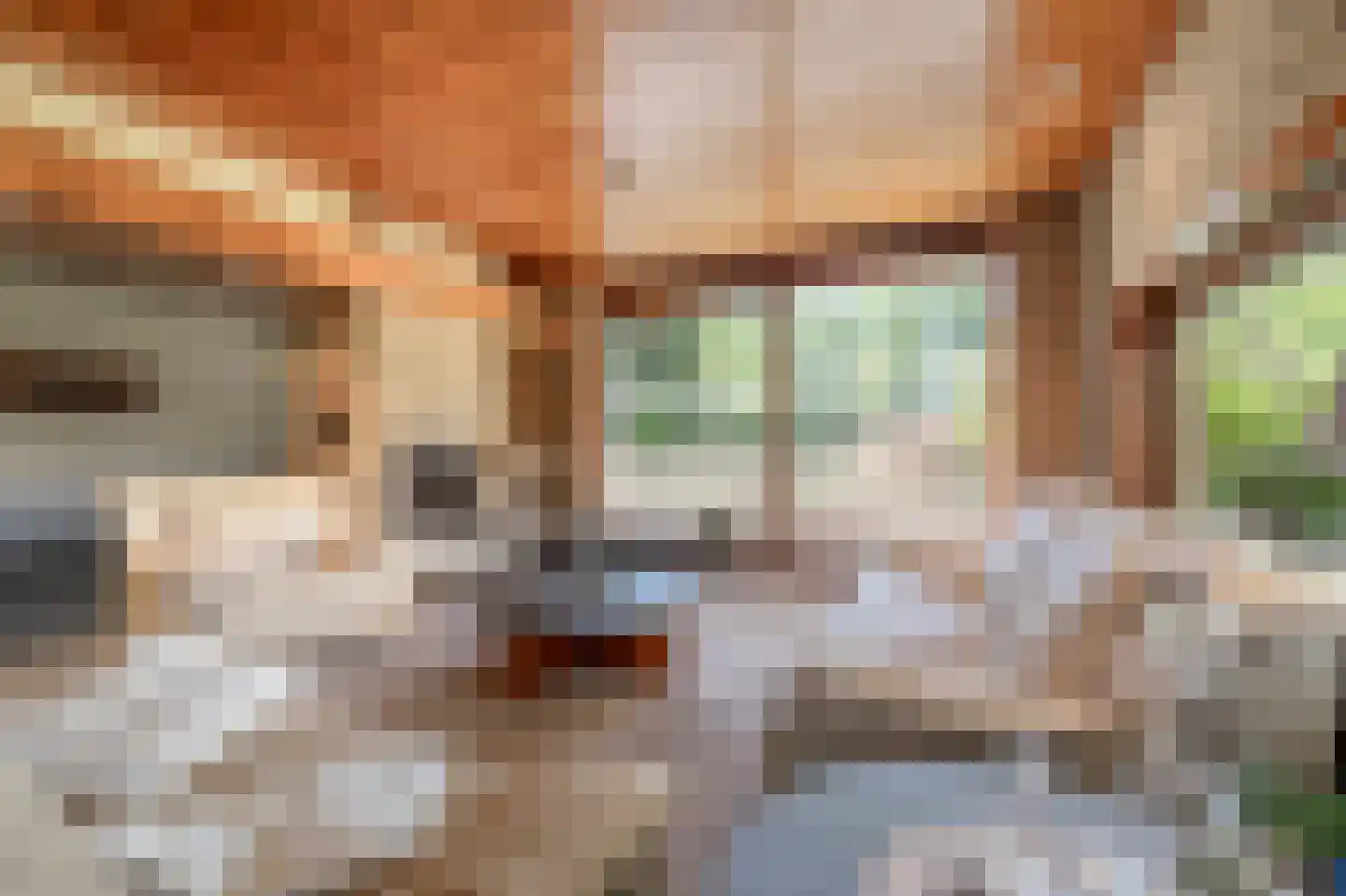 Rembrandtstraat 9 A Oud-Beijerland thumbnail 12
