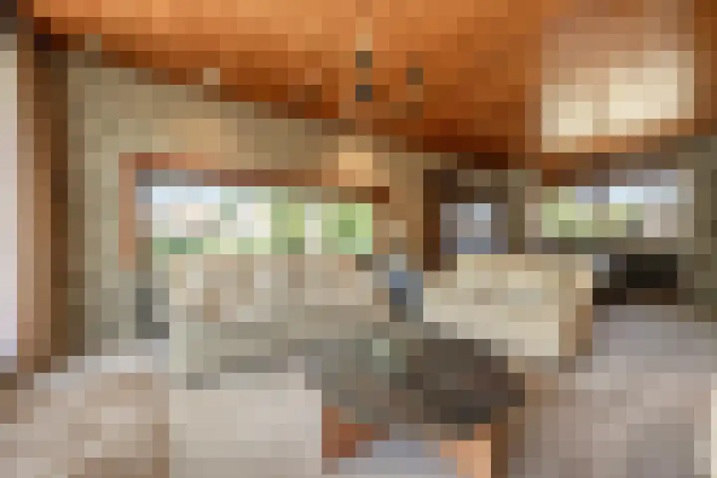 Rembrandtstraat 9 A Oud-Beijerland thumbnail 13