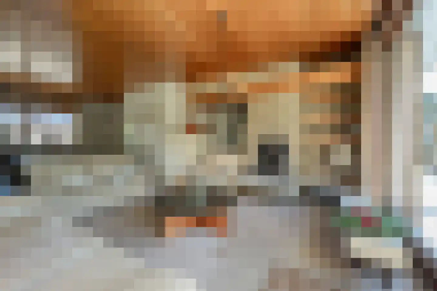 Rembrandtstraat 9 A Oud-Beijerland thumbnail 14