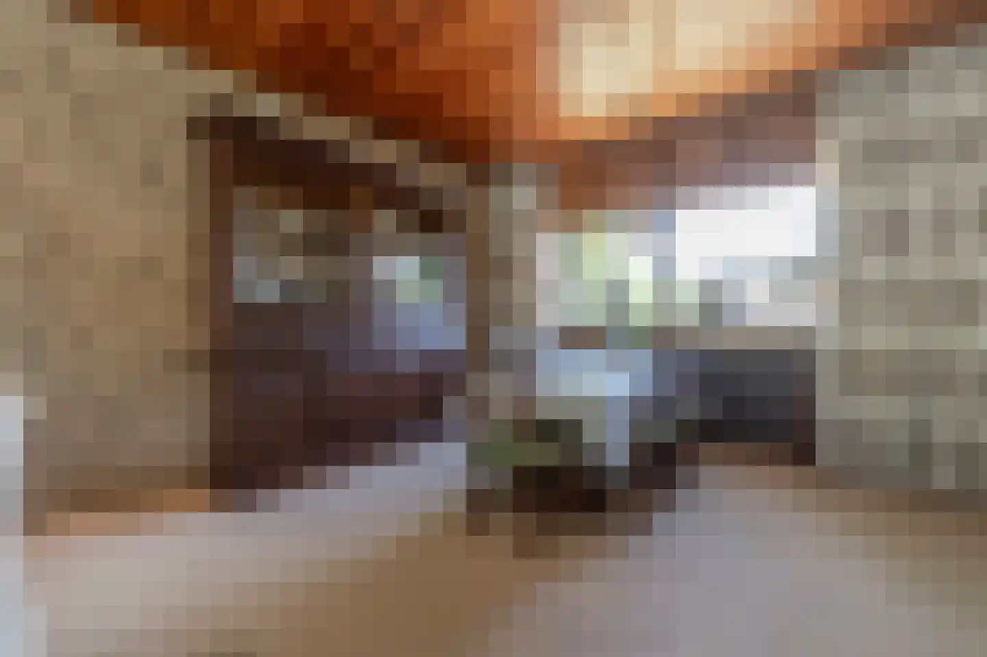 Rembrandtstraat 9 A Oud-Beijerland thumbnail 15