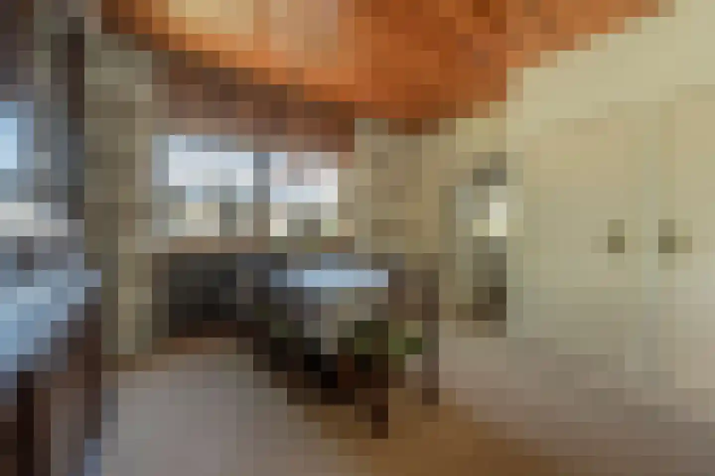 Rembrandtstraat 9 A Oud-Beijerland thumbnail 16