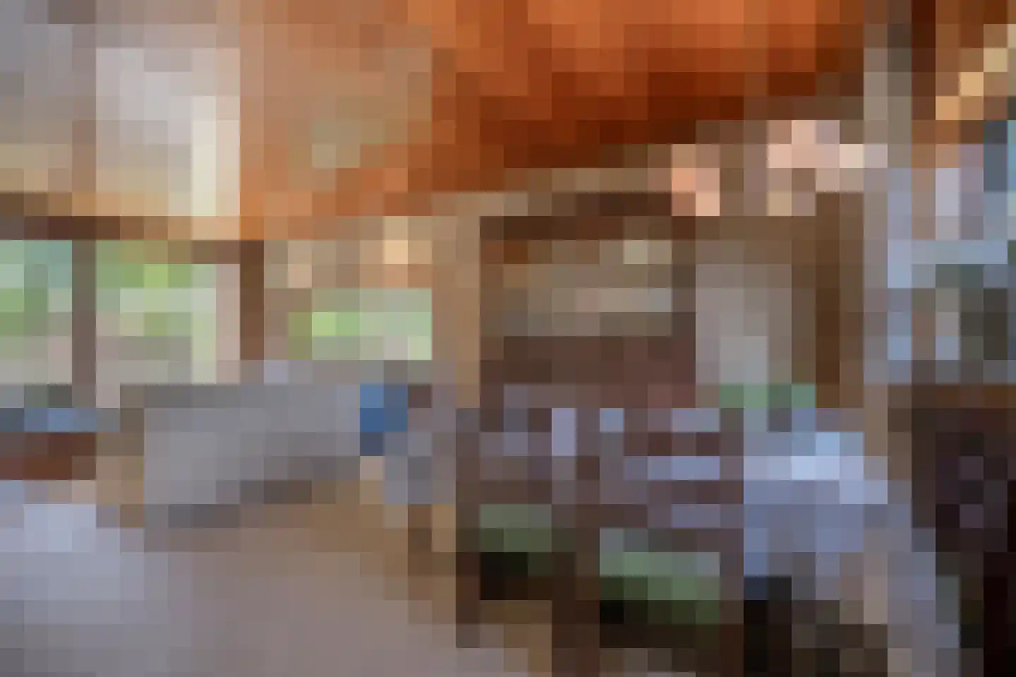 Rembrandtstraat 9 A Oud-Beijerland thumbnail 17