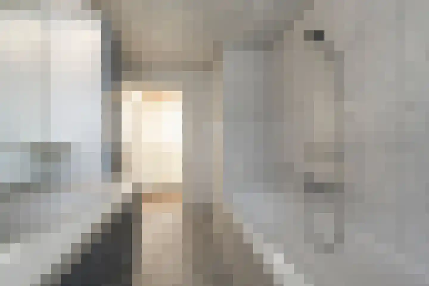 Rembrandtstraat 9 A Oud-Beijerland thumbnail 26