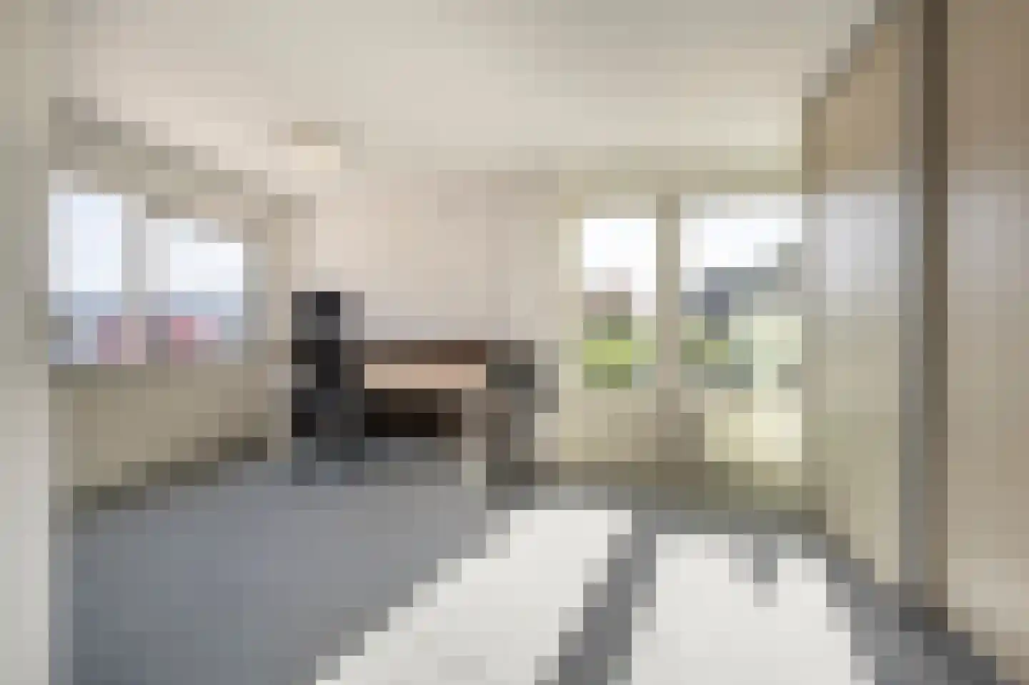 Rembrandtstraat 9 A Oud-Beijerland thumbnail 29