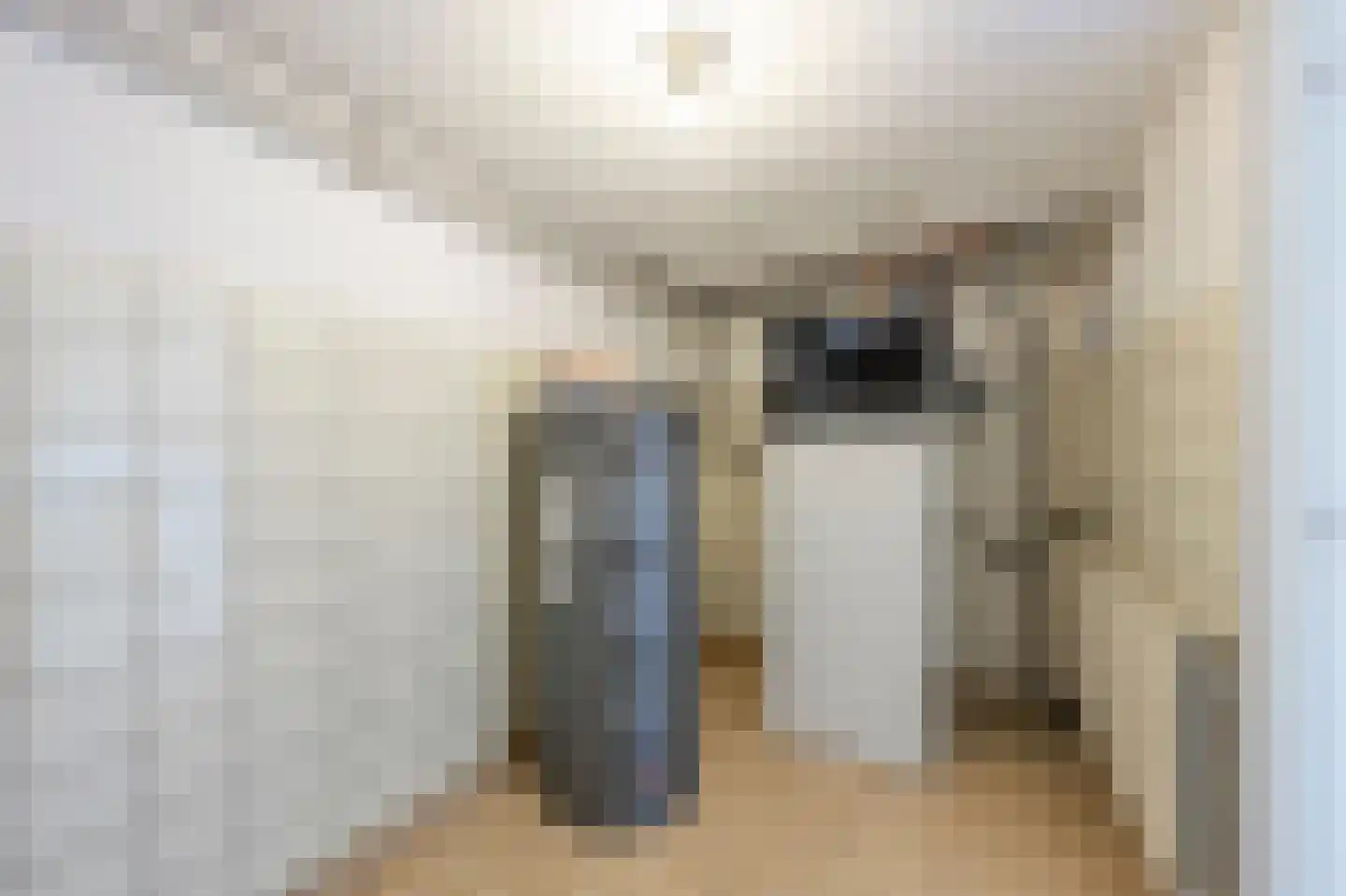 Rembrandtstraat 9 A Oud-Beijerland thumbnail 36