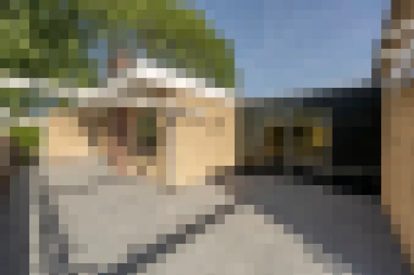 Rembrandtstraat 9 A Oud-Beijerland thumbnail 39