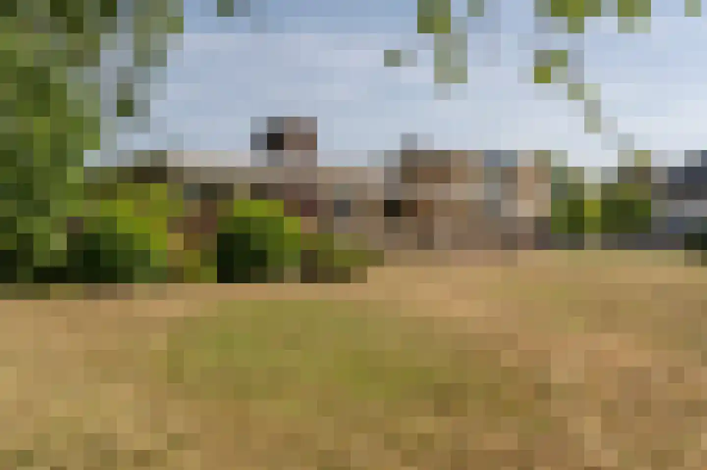Rembrandtstraat 9 A Oud-Beijerland thumbnail 44