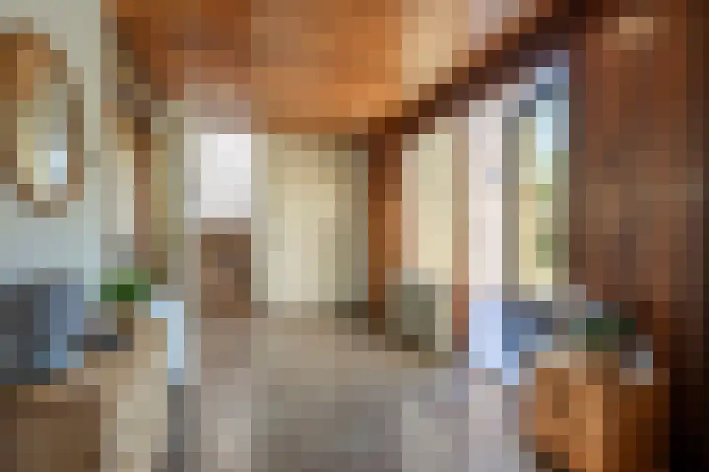 Rembrandtstraat 9 A Oud-Beijerland thumbnail 6