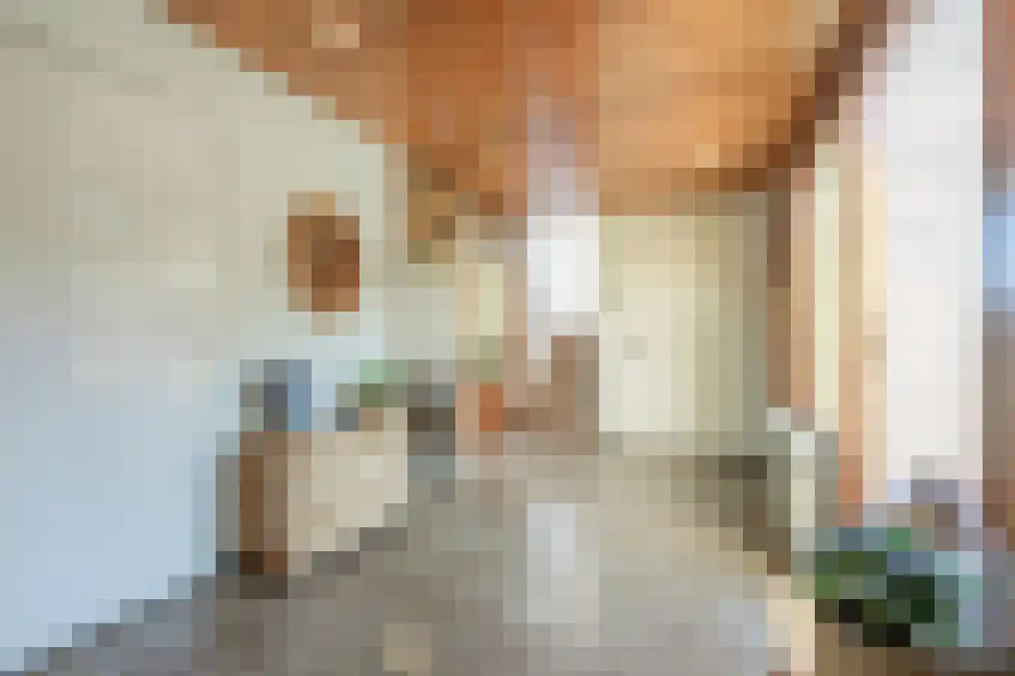 Rembrandtstraat 9 A Oud-Beijerland thumbnail 7