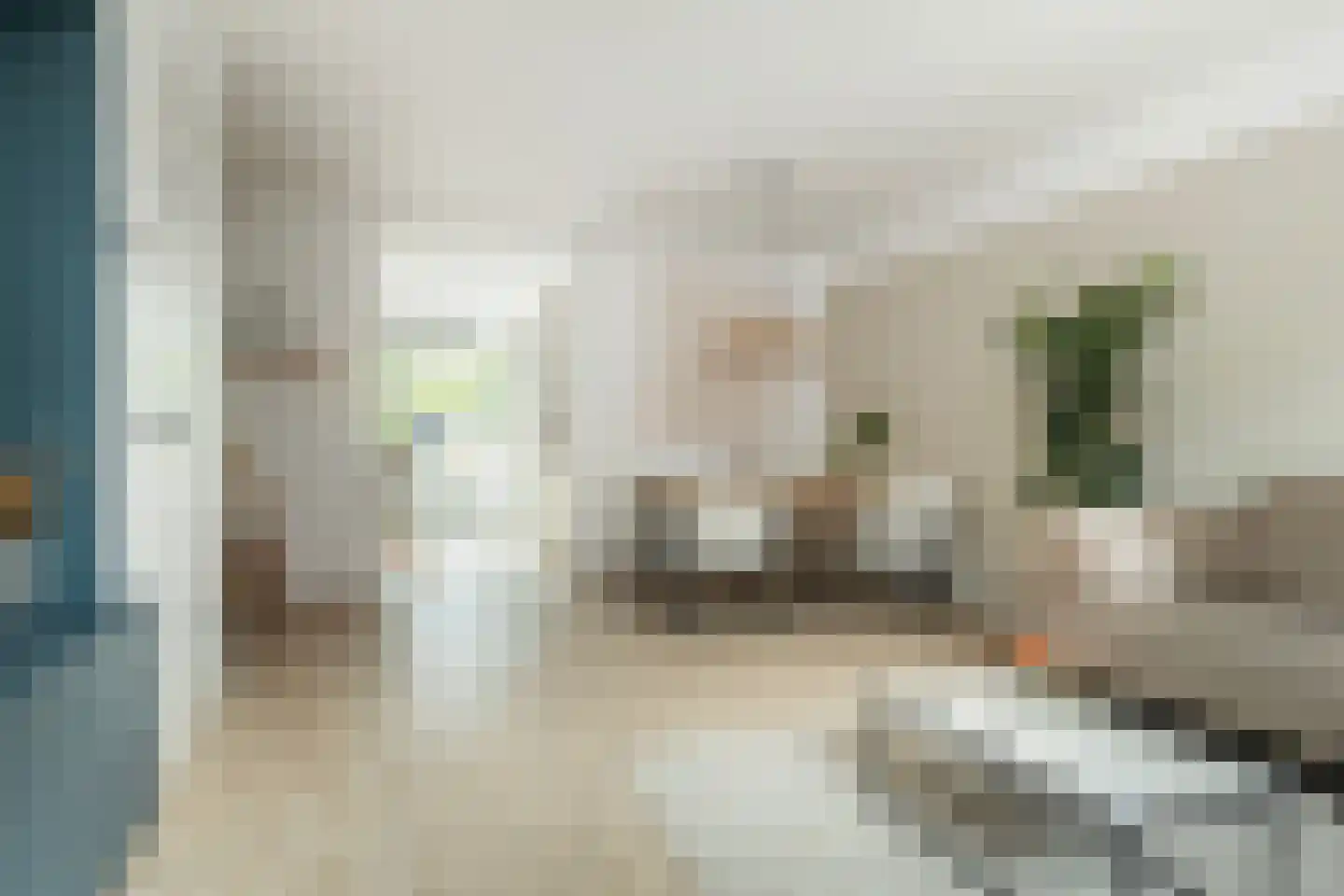 Rembrandtstraat 9 Amersfoort foto 3