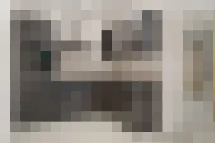 Rembrandtstraat 9 D Voorthuizen thumbnail 23