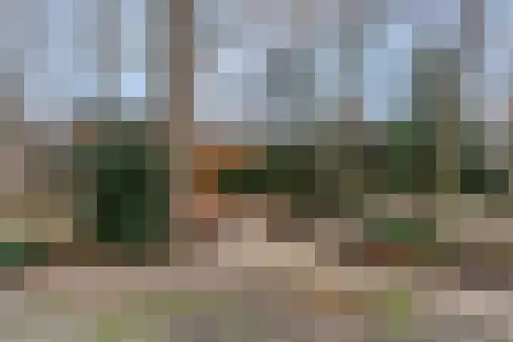 Rembrandtstraat 9 D Voorthuizen thumbnail 31