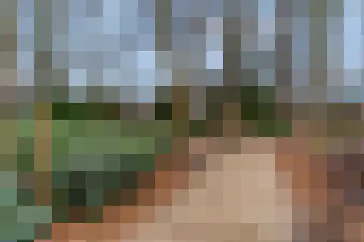 Rembrandtstraat 9 D Voorthuizen thumbnail 33