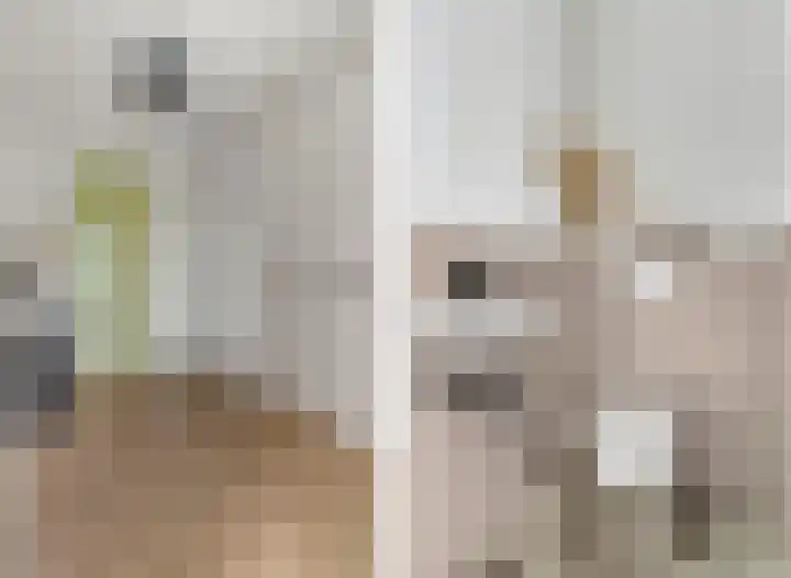 Rembrandtstraat 9 D Voorthuizen thumbnail 6
