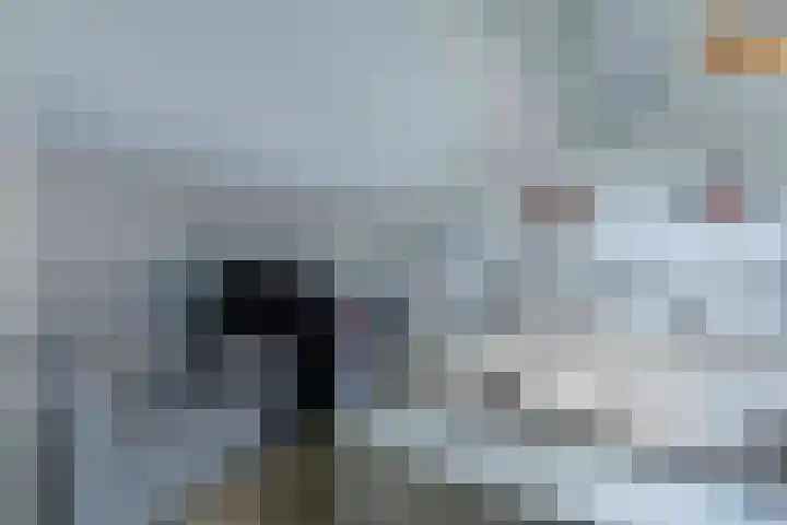 Rembrandtstraat 9 Heerlen thumbnail 31