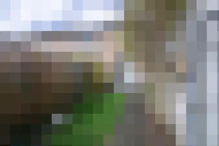 Rembrandtstraat 9 Heerlen thumbnail 36