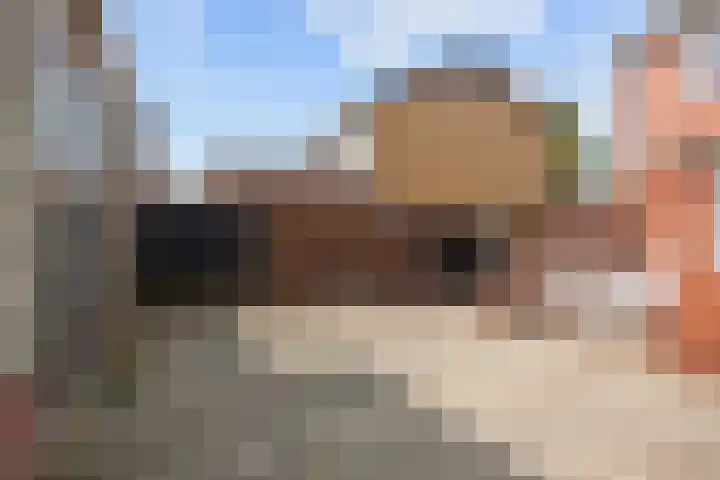 Rembrandtstraat 9 Marum thumbnail 36