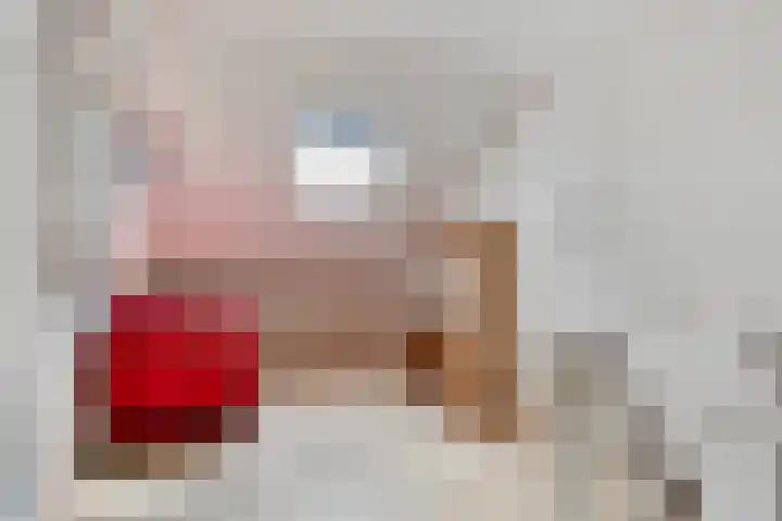 Rembrandtstraat 9 Nijeveen thumbnail 21