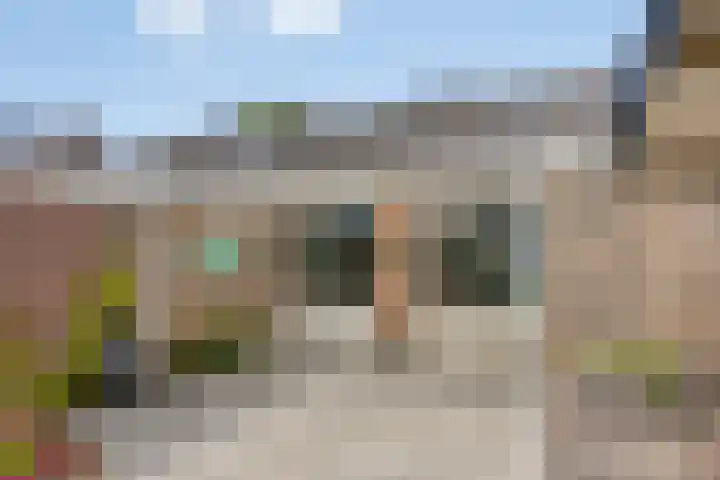 Rembrandtstraat 9 Nijeveen thumbnail 27