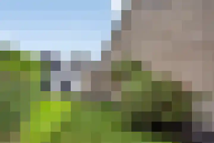 Rembrandtstraat 9 Nijeveen thumbnail 30