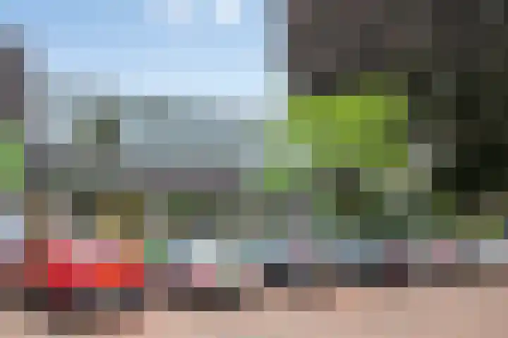 Rembrandtstraat 9 Nijeveen thumbnail 35