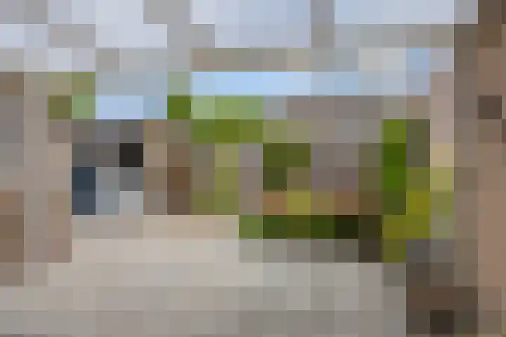 Rembrandtstraat 9 Nijeveen thumbnail 4