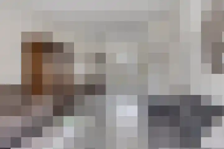 Rembrandtstraat 9 Nijeveen thumbnail 8