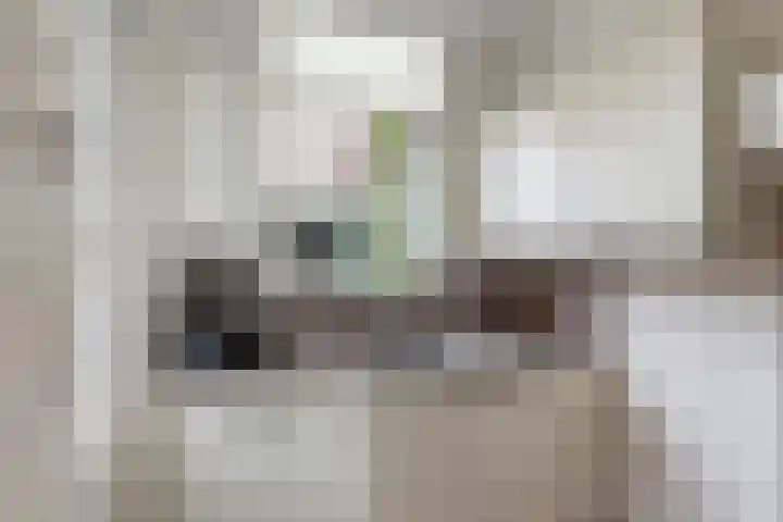 Rembrandtstraat 9 Vlaardingen thumbnail 17
