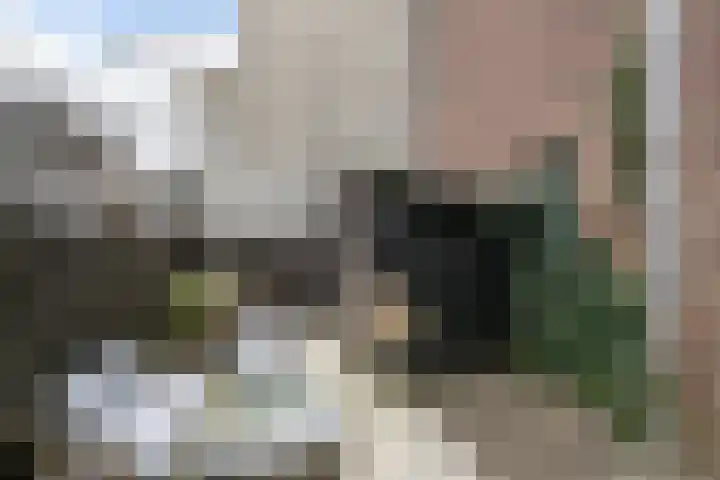 Rembrandtstraat 9 Vlaardingen thumbnail 19