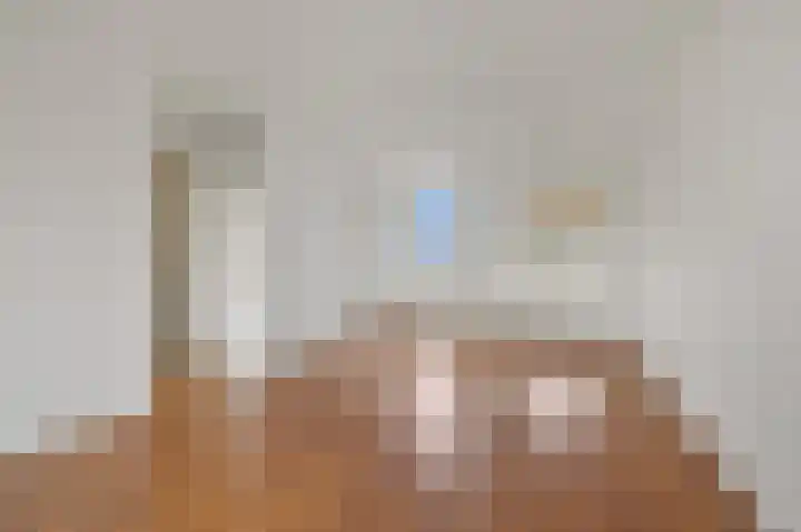 Rembrandtstraat 93 Den Haag thumbnail 8