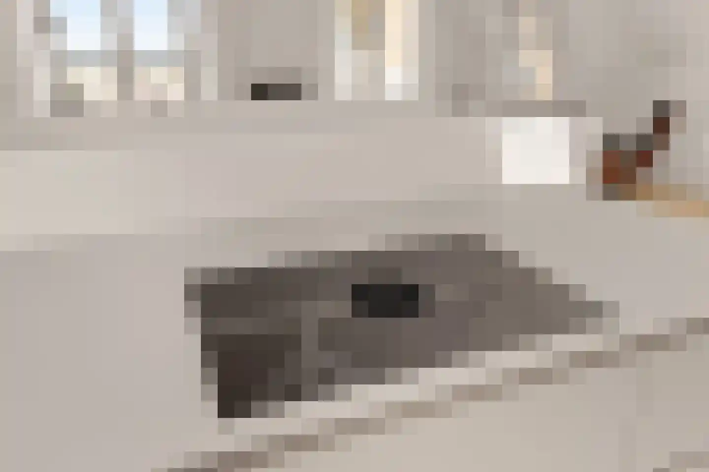 Rembrandtweg 1 Noordwijk thumbnail 13