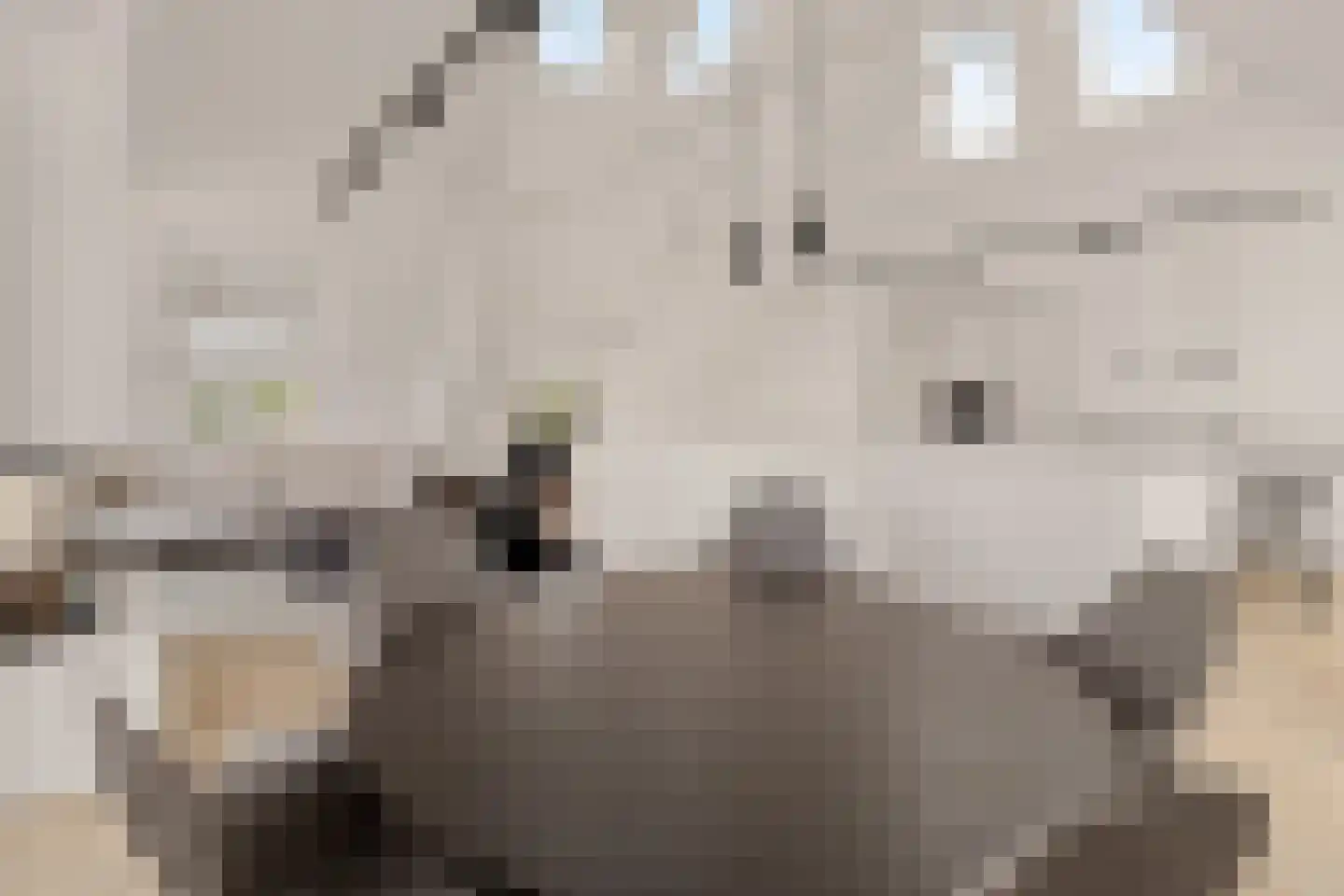 Rembrandtweg 1 Noordwijk thumbnail 9