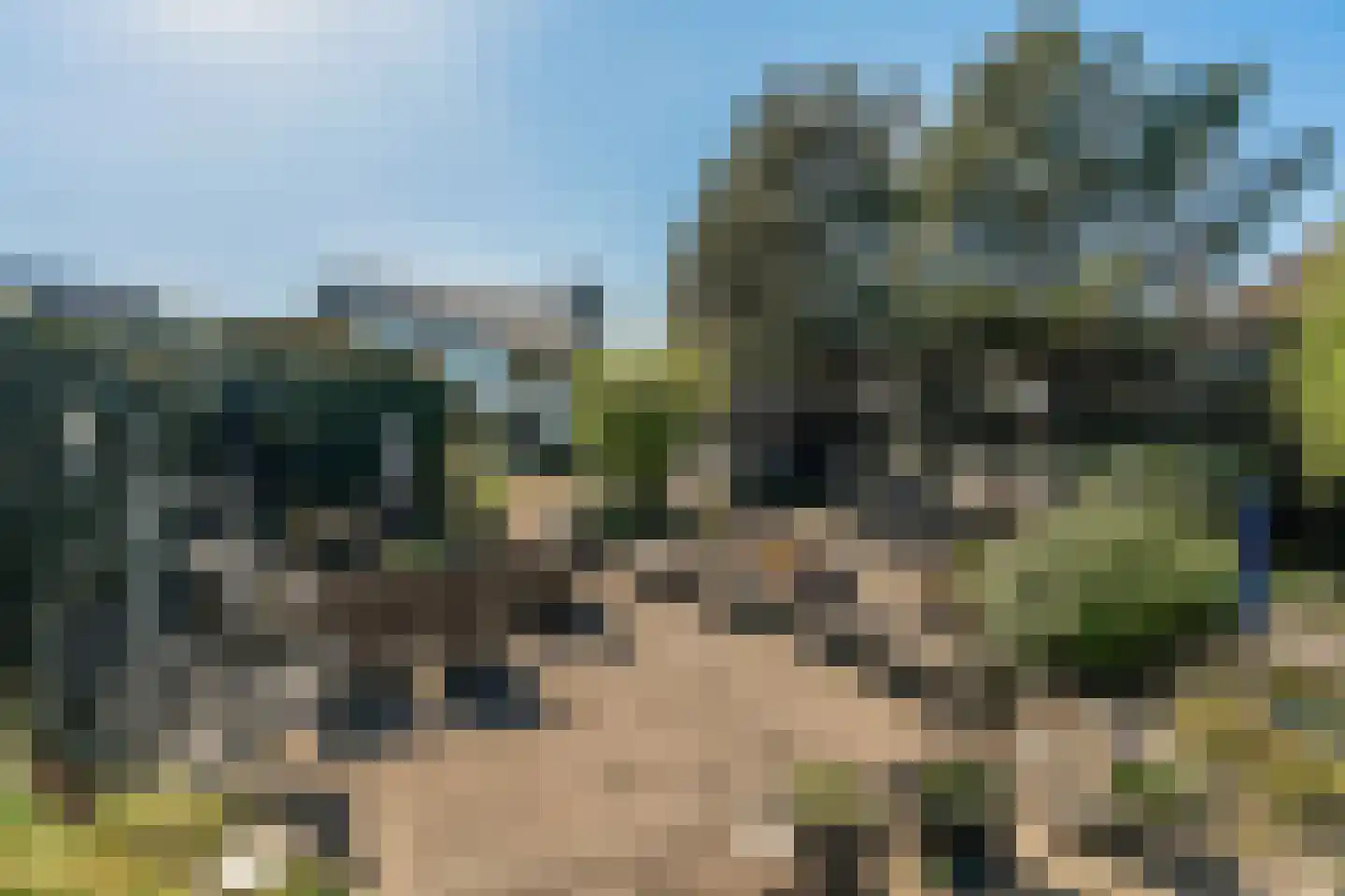 Rembrandtweg 11 A Noordwijk thumbnail 11