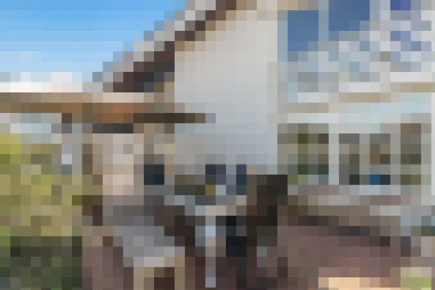 Rembrandtweg 11 A Noordwijk thumbnail 14