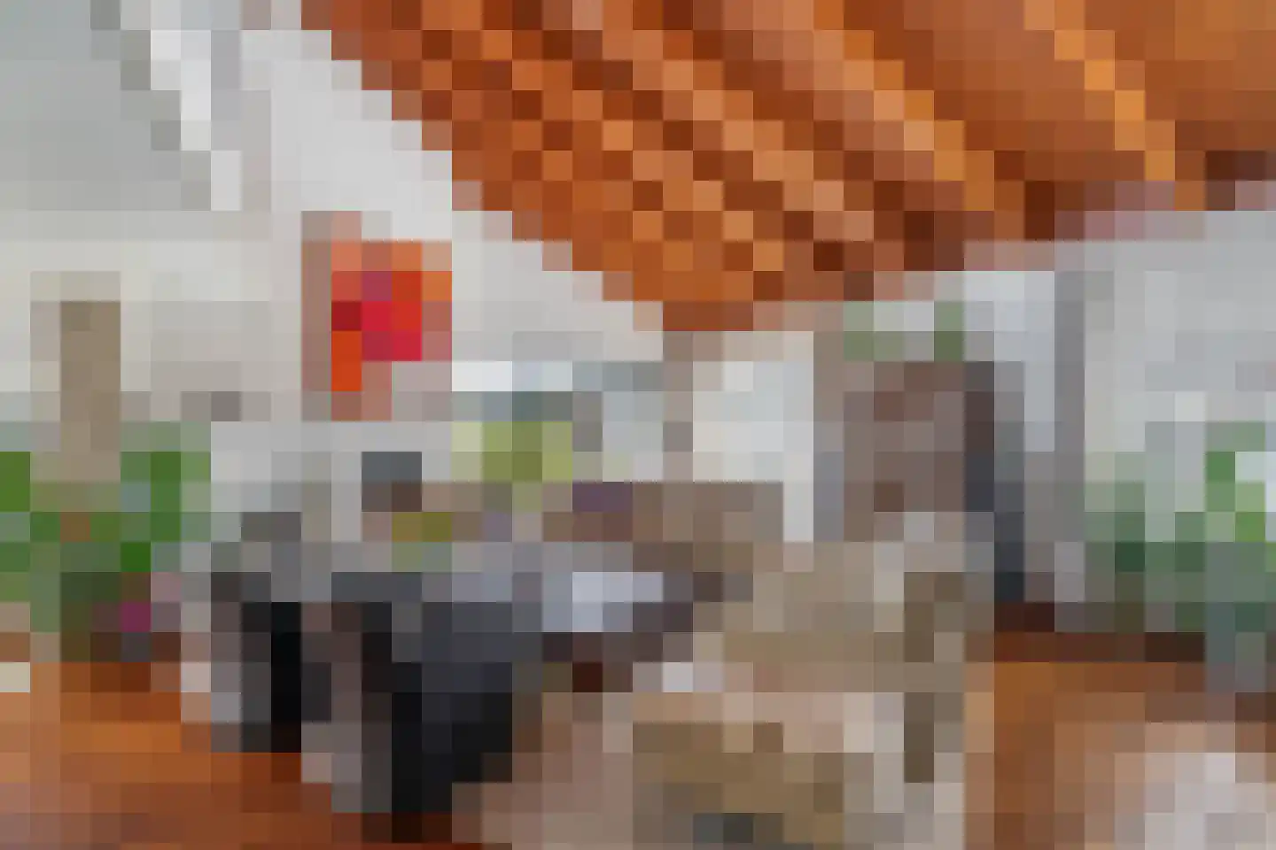Rembrandtweg 11 A Noordwijk thumbnail 17