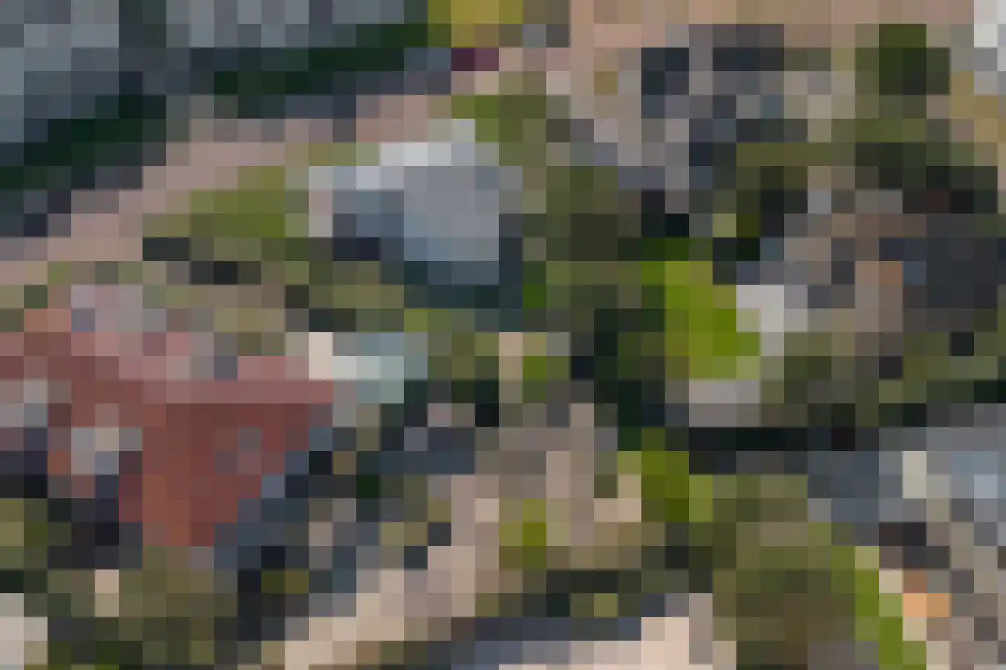 Rembrandtweg 11 A Noordwijk thumbnail 7