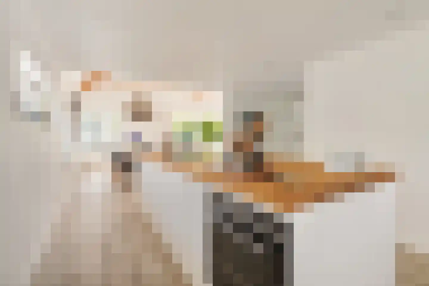 Rembrandtweg 20 Noordwijk thumbnail 21